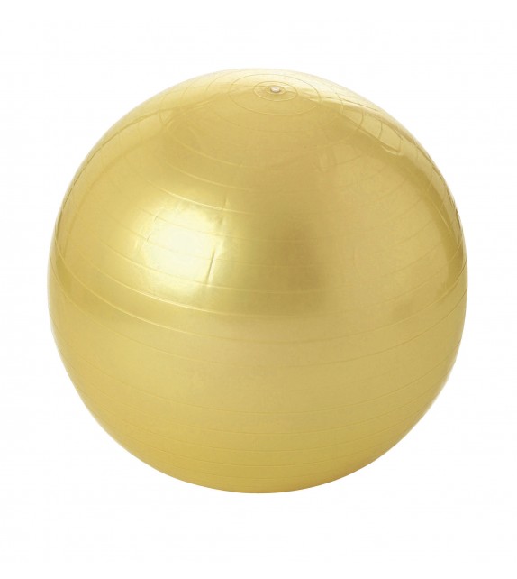 Balle gymnique 55 cm - jusqu'à  300kg