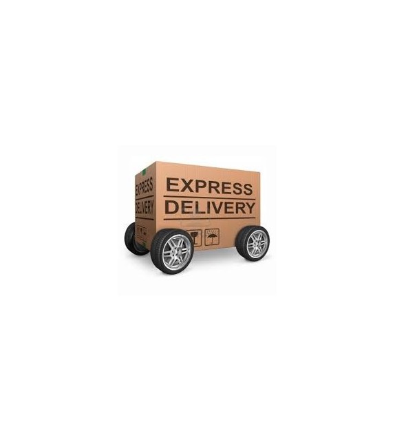 Express delivery  - 